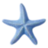 ⭐️