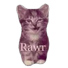 🐱