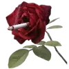 🚬