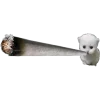 🐱