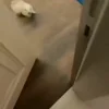 😳
