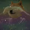 🐶
