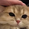 🤗