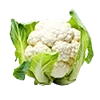 🥬