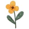 🌼