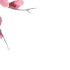⭐