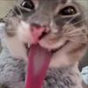 😜
