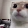 🙂