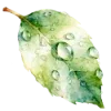 🌱
