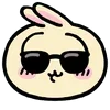 😎