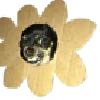 🌼