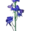 ♾