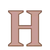 🟤