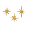🌟