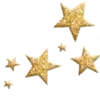 ✨