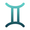 ♊️