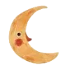 🌜