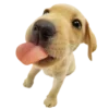 😋