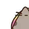 ⭐