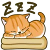 🐈
