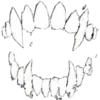 🦷