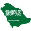 🇸🇦