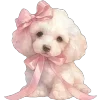 🐶