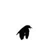 🐦‍⬛