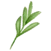 🌿