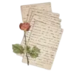📜