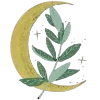 🌙