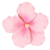 🌸