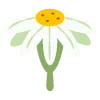 🌿