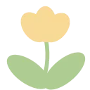 🌷