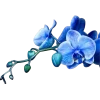 ♾