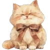 🐱