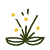 🌸