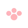 🐾