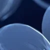 ♾