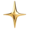 🌟