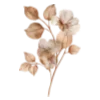 🌾