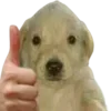 👍