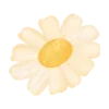 🌼