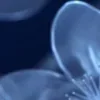♾