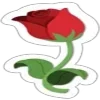 🌹