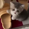 🥰