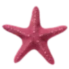 ⭐️
