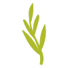 🌿
