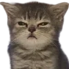 😠
