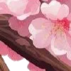 ⭐
